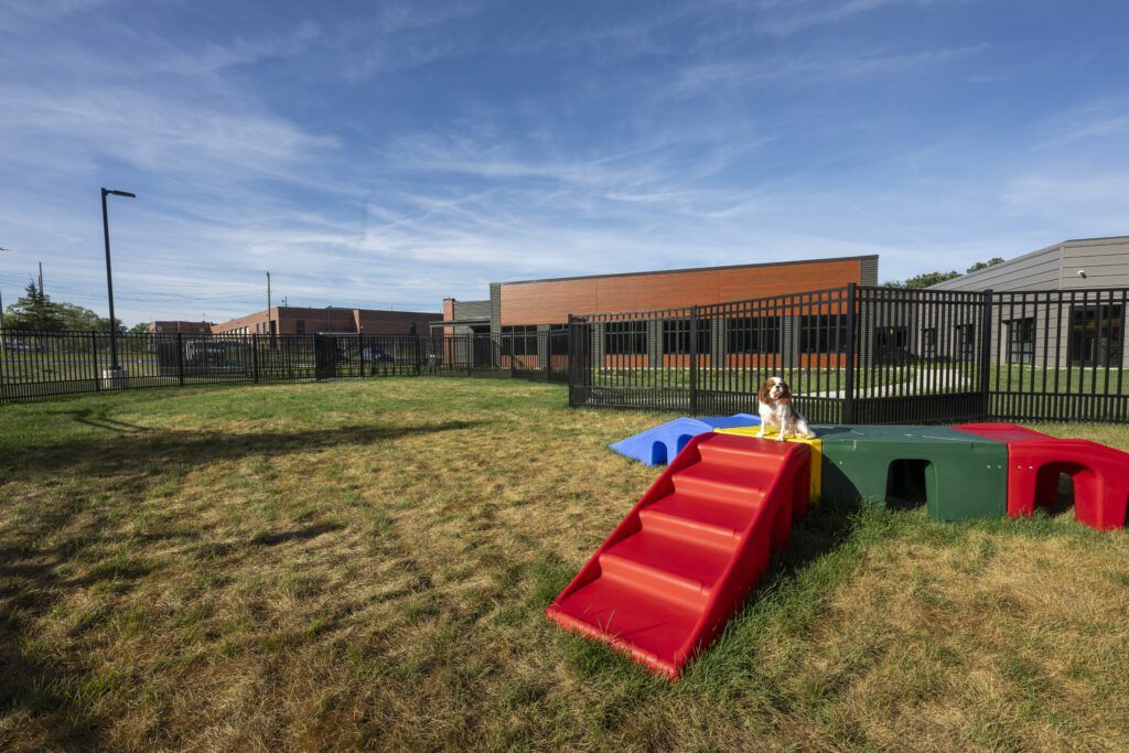 Play Park